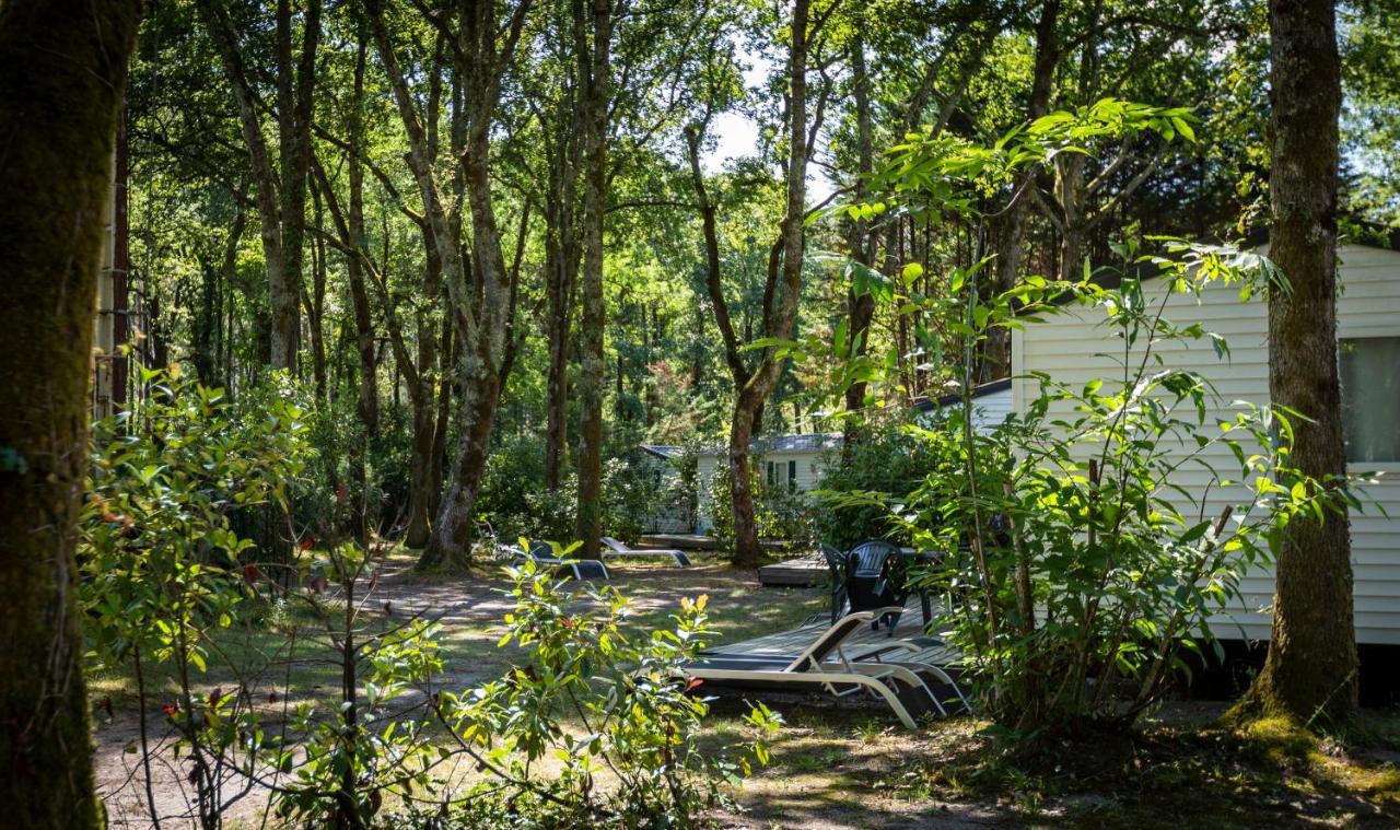 Camping L'Etang D'Ardy *** Saint-Paul-les-Dax Exterior photo